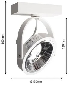 Luce Spot da parete a LED LUGAR 1xAR111 - GU10/25W/230V
