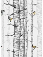 Coordonne Tapete Birch Trees - Grey
