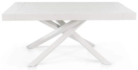 FLORA - tavolo in legno e acciaio 160 x 90