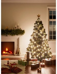 LED RGBW da esterno Catena natalizia ESSENTIALS 250xLED 2x10m 2700-6500K Wi-Fi IP44