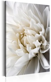 Quadro White Dahlia