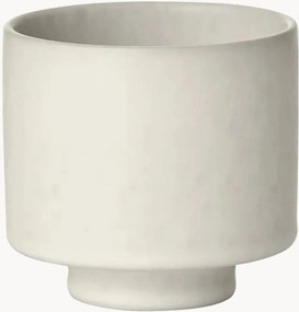 Tazza Makoto