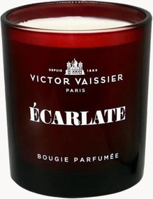 Candela profumata Ecarlate (Ginepro e sempreverde)