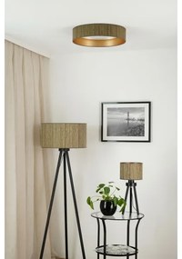 Brilagi - Lampada dimmerabile a LED VEGAS SHINE LED/24W/230V marrone/oro + telecomando