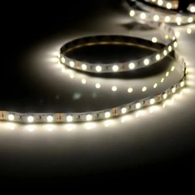 Striscia LED 5m LED/10W/12V IP20 bianco