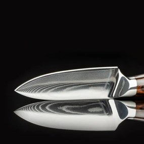 Gudaro - Coltello da cucina in acciaio damascato FENG 3,5", 67 strati d'acciaio, lunghezza 9,5 cm