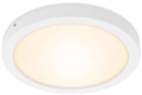 Briloner 7141-016 - Plafoniera LED FIRE LED/21W/230V