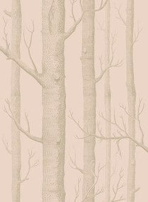 Cole & Son Carta da parati New Woods - Pink/ Gilver