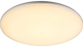 GLOBO 32118-24 - Plafoniera LED da esterno DORI 1xLED/24W/230V IP54