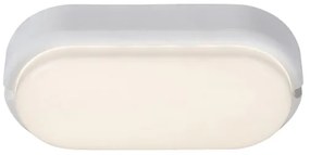 Rabalux 7408 - Lampada LED da soffitto esterna HORT LED/15W/230V IP54 bianco