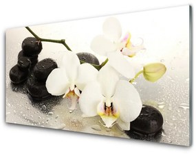 Quadro acrilico Bellissimo fiore di orchidea 100x50 cm