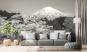 Carta da parati autoadesiva – Monte Fuji in bianco e nero
