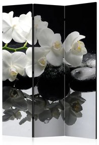 Paravento Spa, Stones and Orchid [Room Dividers]