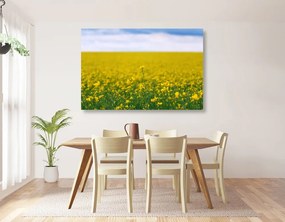 Stampa su tela – Campo giallo