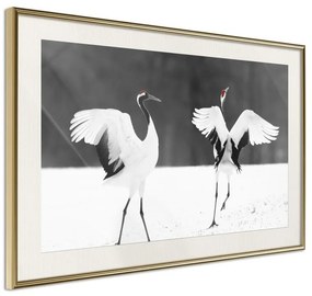 Poster  Bird Date  Cornice Quadri Cornice d'oro con passe-partout, Larghezza x Altezza Home decor 45x30