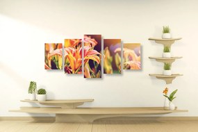Quadri 5 pezzi – Bellissimi fiori in giardino