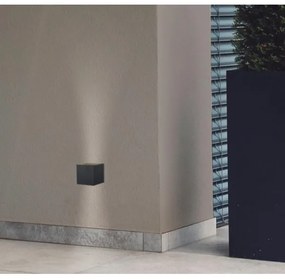 Westinghouse 61149 -Applique a LED da esterno FREYA 2xLED/4,5W/230V IP44 nero