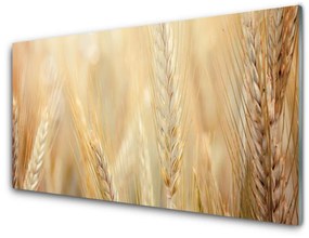 Quadro acrilico Grano vegetale naturale 100x50 cm