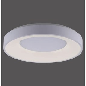 Leuchten Direkt 14326-16 - Lampada LED dimmerabile ANIKA LED/30W/230V + T