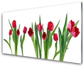 Quadro su vetro acrilico Tulipani, fiori, piante 100x50 cm