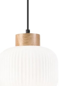 Lampadario a sospensione con filo HARMONY 1xE27/15W/230V diametro 20 cm bianco/quercia