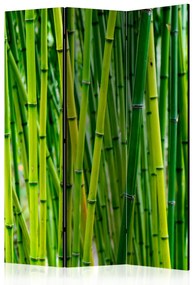 Paravento separè Foresta di Bambù - alberi di bambù verde in stile orientale Zen