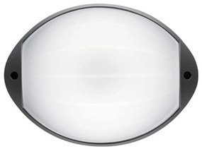 Applique Aperta Contemporanea Coco Alluminio Grafite 1 Luce Led 7W 4000K