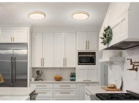 Plafoniera LED GANDAVA LED/24W/230V