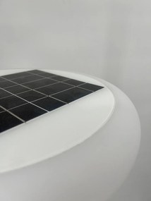 Piantana da Esterno Led ad Energia Solare LMS-D13