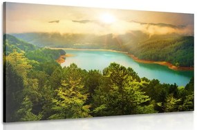 Stampa su tela – Fiume nel mezzo della foresta verde