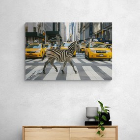 Quadro su tela – Zebra a New York