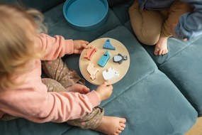 Scatola Animali da inserire