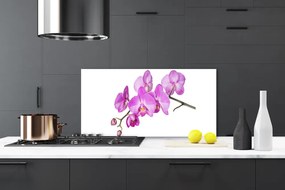 Pannello paraschizzi cucina Orchidea Fiori di orchidea 100x50 cm