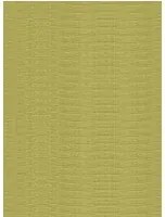 Arte International Carta da parati Line - Gold/ Olive