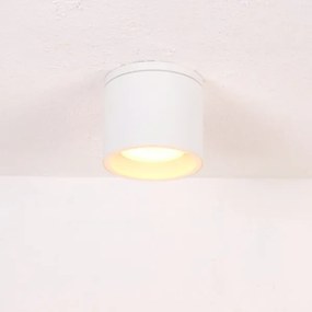 Globo 32063W - Plafoniera da esterno ALCALA 1xGX53/11W/230V IP44