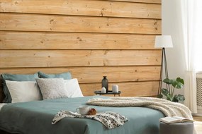 Carta da parati – Imitazione del Legno