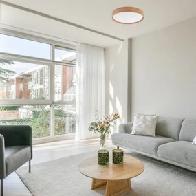 Brilagi - Lampada LED da soffitto MANAROLA SIMPLE LED/24W/230V 3000K