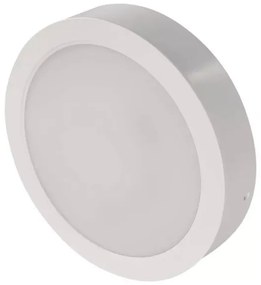 Plafoniera LED LED/24W/230V diametro 22 cm bianco