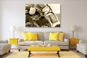 Quadro su tela – Rose in seppia