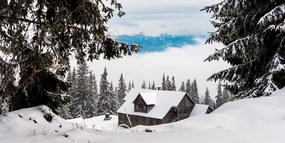 Stampa su tela – Casetta di legno tra pini innevati