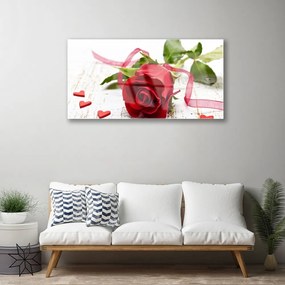 Quadro vetro acrilico Natura della pianta del fiore della rosa 100x50 cm