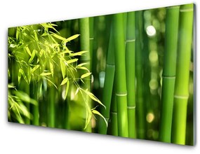 Quadro su vetro Pianta di foglie di bambù 100x50 cm