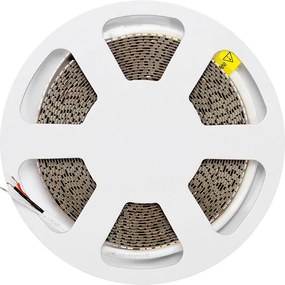 Striscia LED CCT Bianco Variabile 24V 24W/m Professionale - IP20 - 5 metri