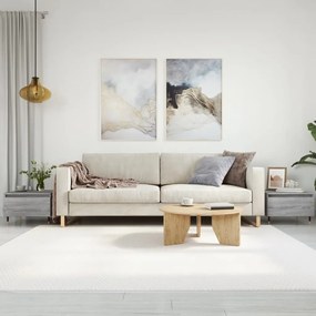 Tavolini Salotto 2pz Grigio Sonoma 50x46x35cm Legno Multistrato /
