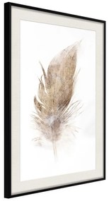 Poster  Lost Feather (Beige)  Cornice Quadri Cornice nera con pass-partout, Larghezza x Altezza Home decor 40x60