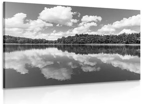 Stampa su tela – Natura in estate in bianco e nero
