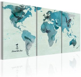 Quadro Mappa ornitologica del mondo
