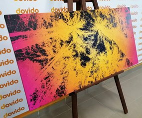 Quadro su tela – Tramonto nella foresta tropicale
