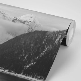 Carta da parati – Paesaggio invernale in bianco e nero
