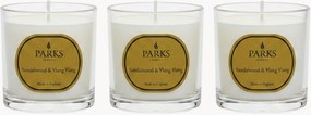 Set di 3 candele profumate fatte a mano Vintage Aromatherapy (legno di sandalo, Ylang Ylang e ambra calda)